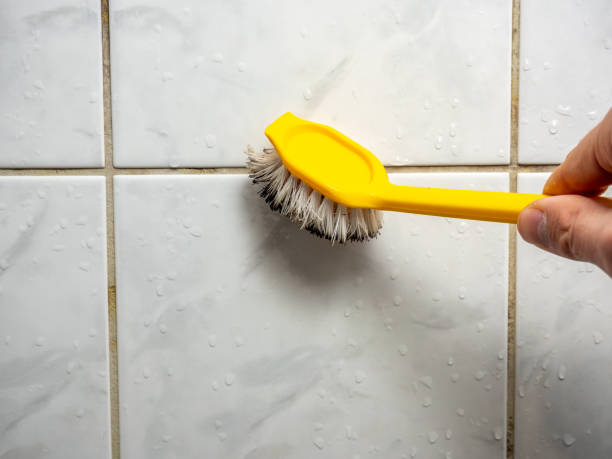 Best Local Mold Removal Service  in Powell, AL
