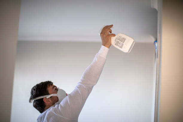 Best Fast Mold Removal  in Powell, AL