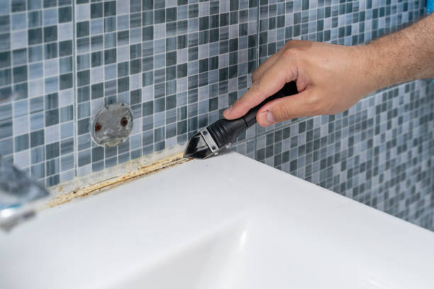 Best Certified Mold Removal  in Powell, AL