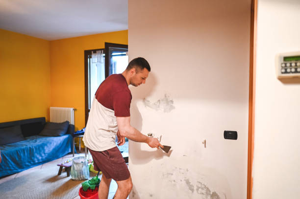 Best Best Mold Removal Companies  in Powell, AL